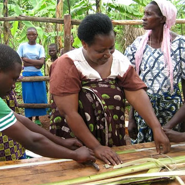Illustration for article titled Banana-Based Pad Maker Elizabeth Scharpf Wants Rwandan Women Educated. Period.
